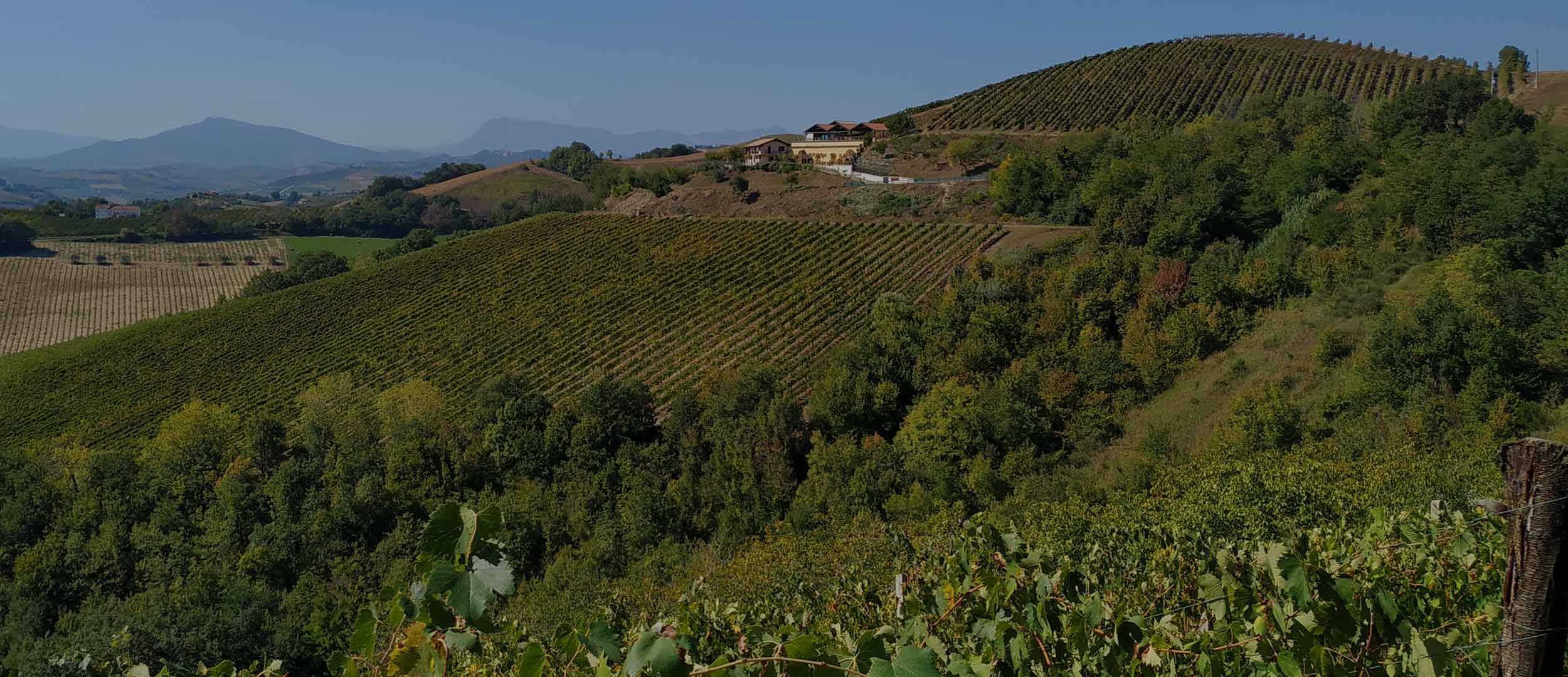 Enoteca Lanciani | Montefiore dell'Aso